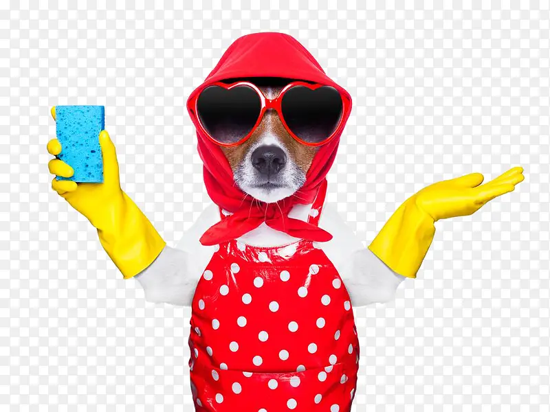 ����������׵�С��-������