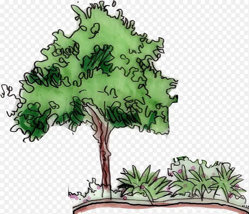 ��ɫ����-������