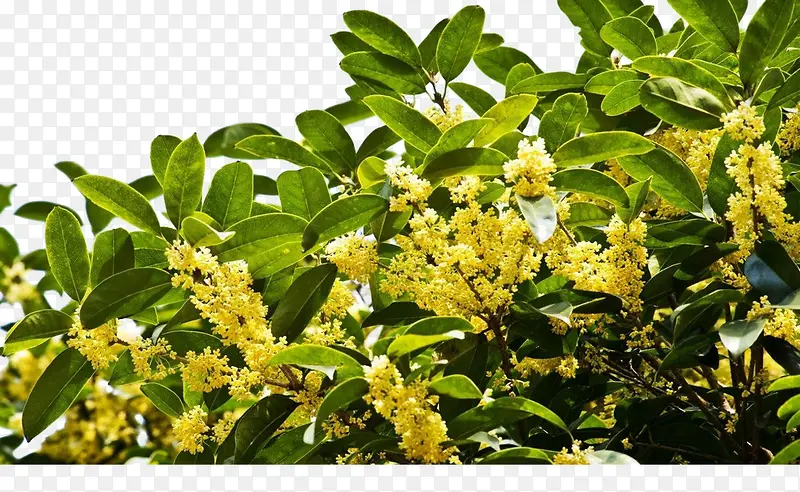 ��-������