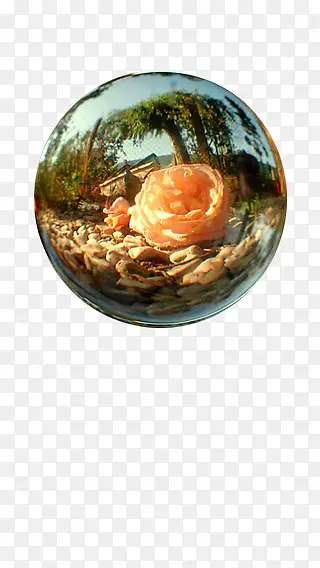 ���۾�ͷ��Ӱ��Ʒ-������