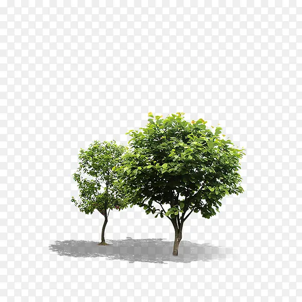 С��-������