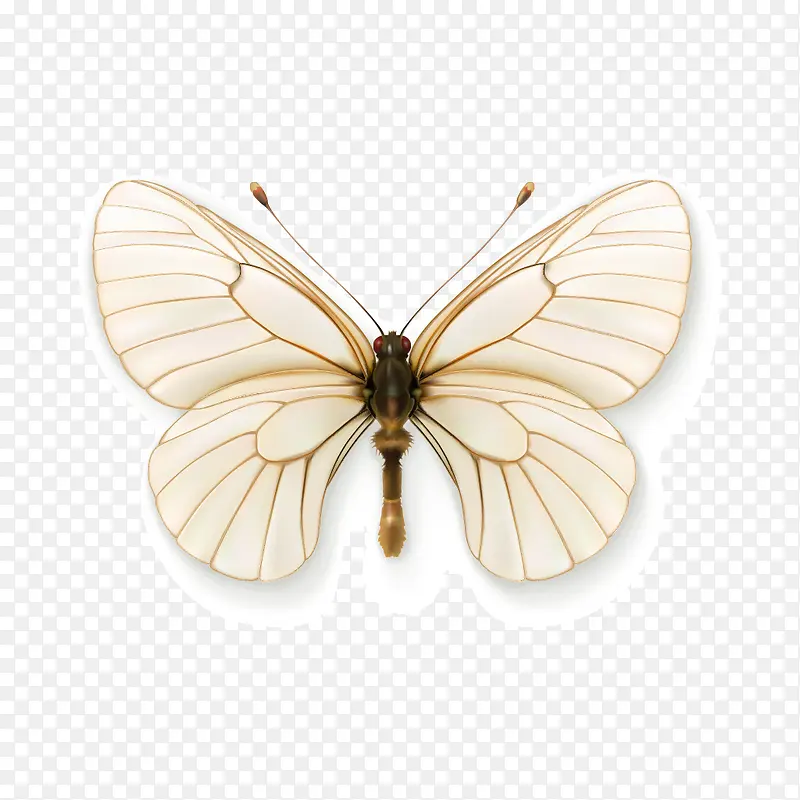 ����-������