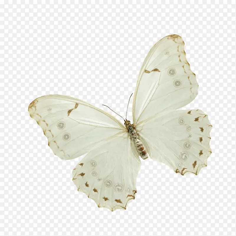 ����-������