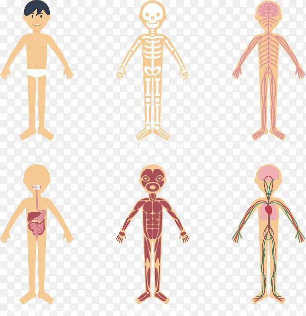 ʸ���ֻ濨ͨ����͸��ͼ-������