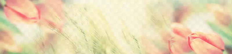 Ψ���������Ա���������-������