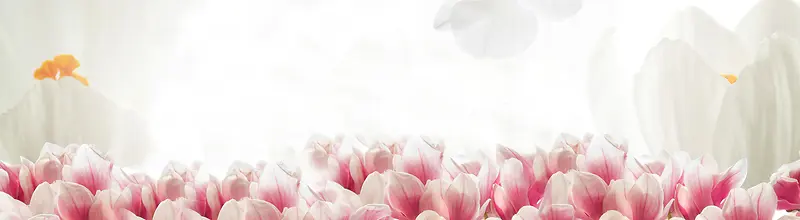 Ψ����ɫ�����㺣������-������