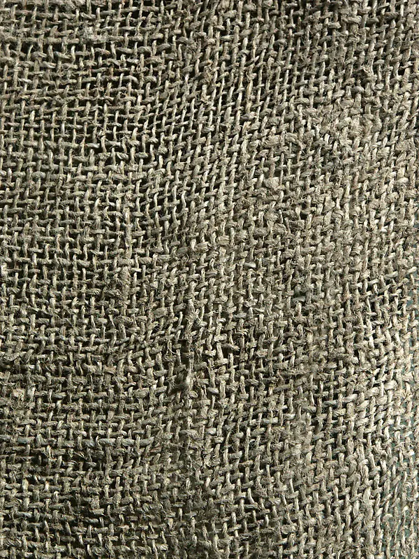 �鲼����-������