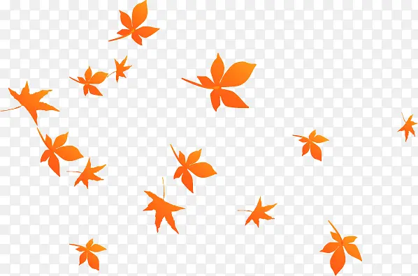 Ѥ����ɫ����Ư����Ҷ-������