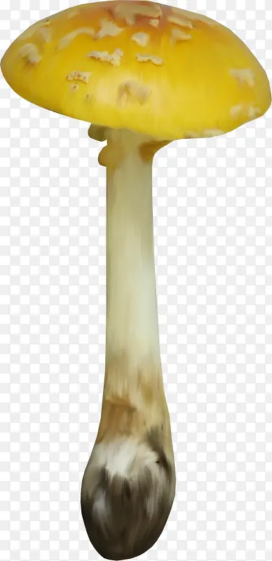 ʳ���ֻ�ͼƬ Ģ��-������