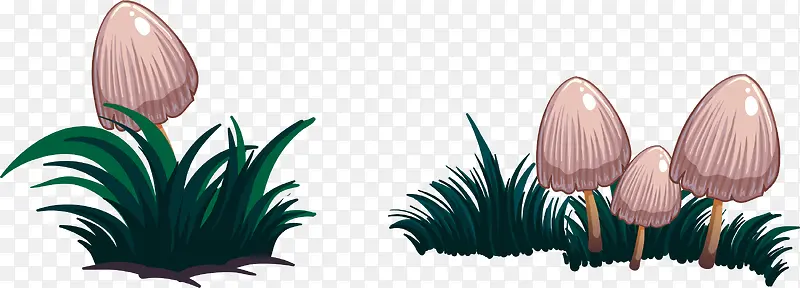 ��ͨĢ���ݴ�-������