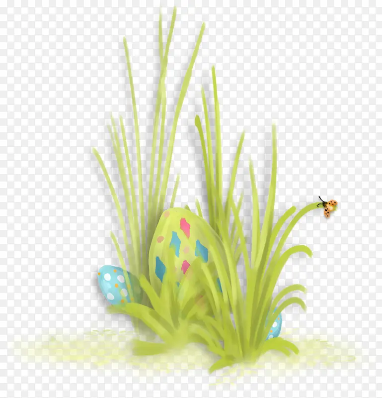 ��ͨС��-������