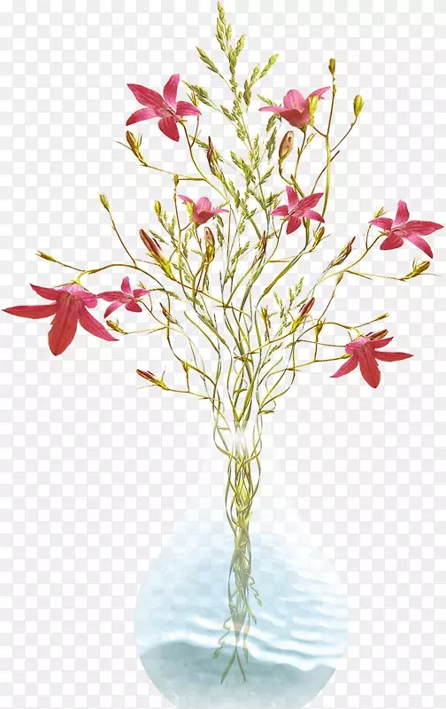 �л���ƿ��ƻ��賤��-������