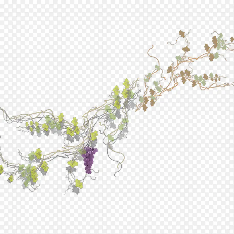 �����ʽ���-������