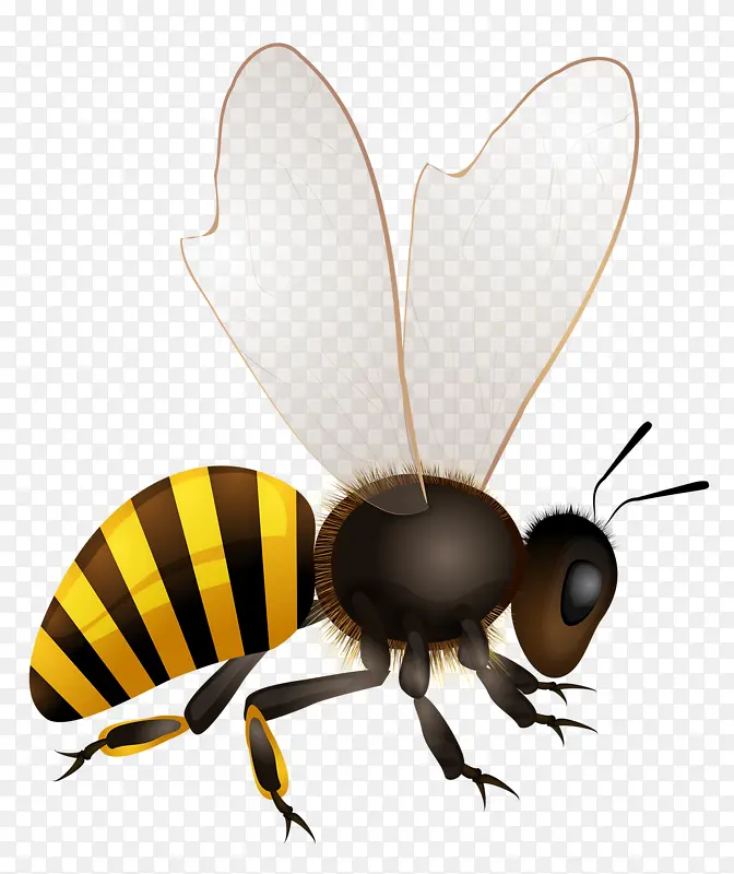 С�۷�-������