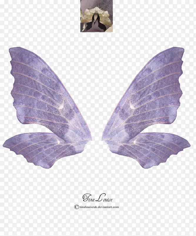 ��Ů����������-���-������