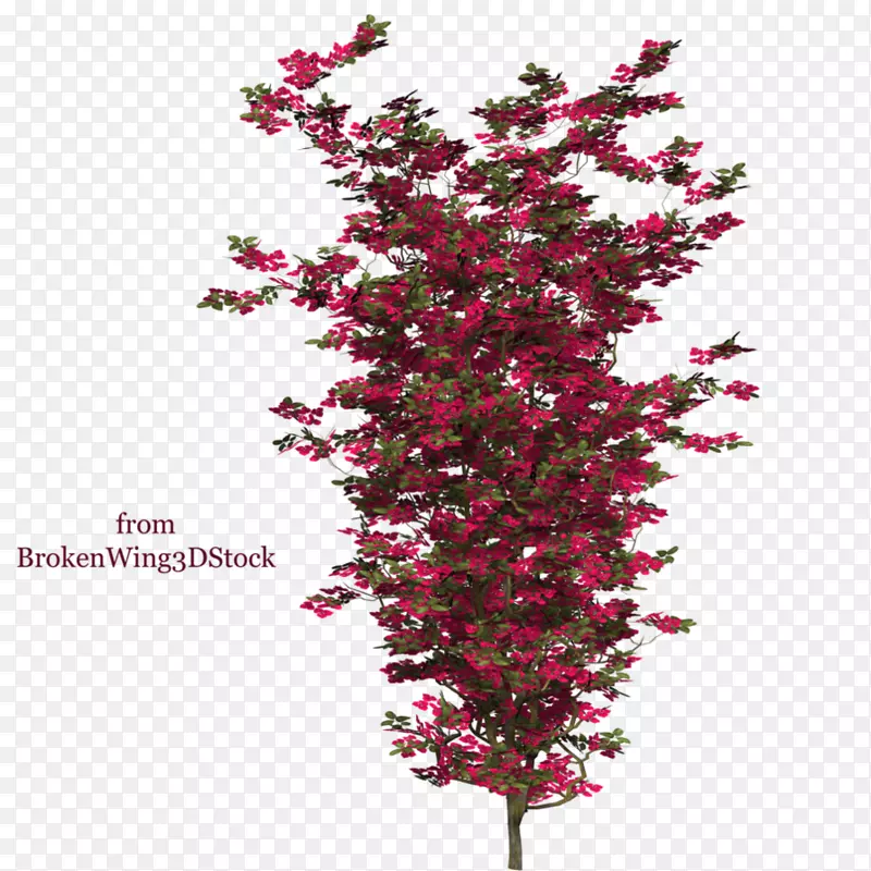 ֲ��������-������