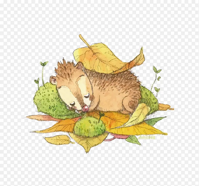 ʸ����Ҷ��˯����С���-������