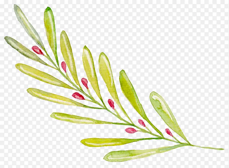 ��Ҷ-������