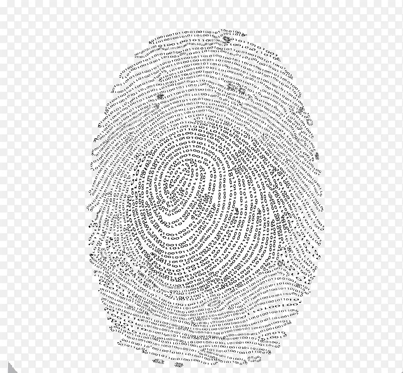 ָ��-������