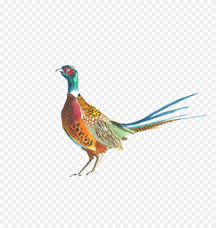 ˮ�� ��ֲ��-������