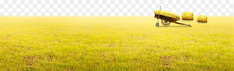 �ݵ�-������