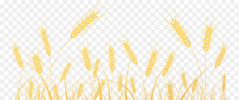 С���ز�-������