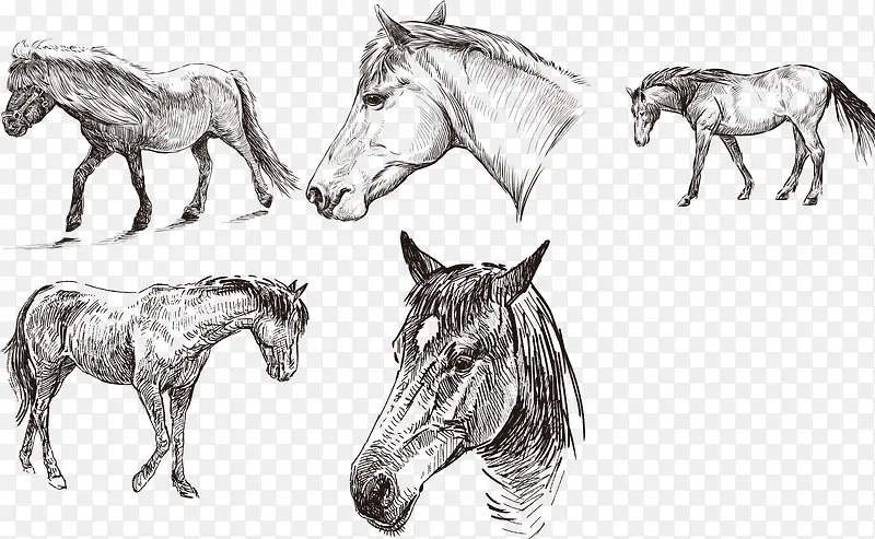 ������ͷ����-������