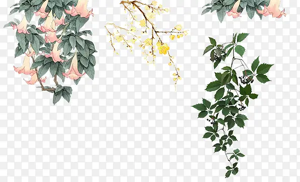 ������֦-������