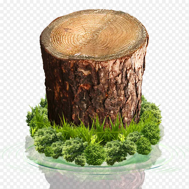 ��׮-������