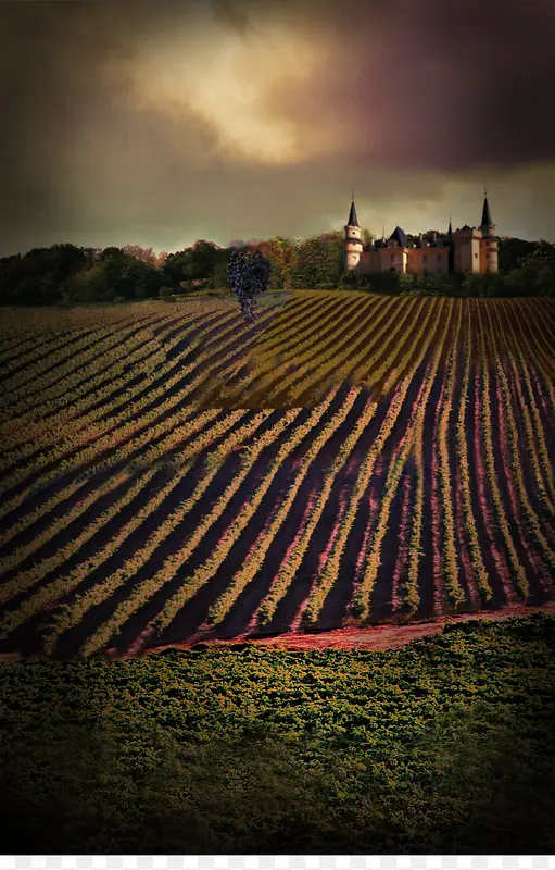 ׯ԰����-������