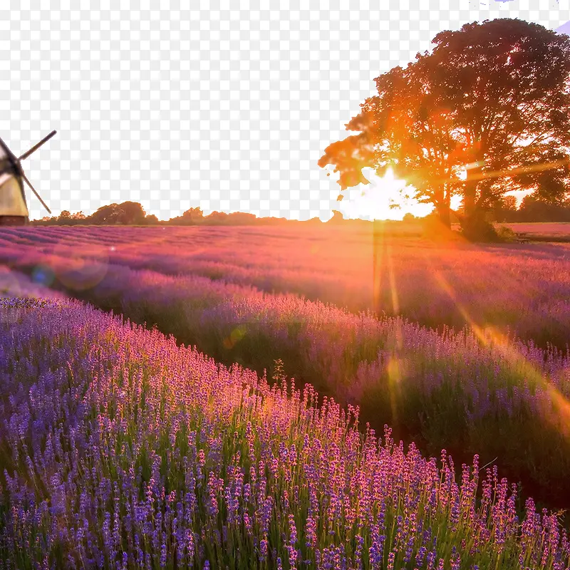 Ψ��Ϧ��޹�²�ׯ԰�زı���-������