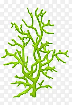 ��ɫ����-������