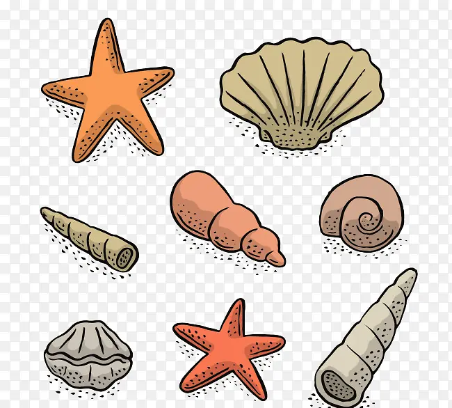 �����ز�-������