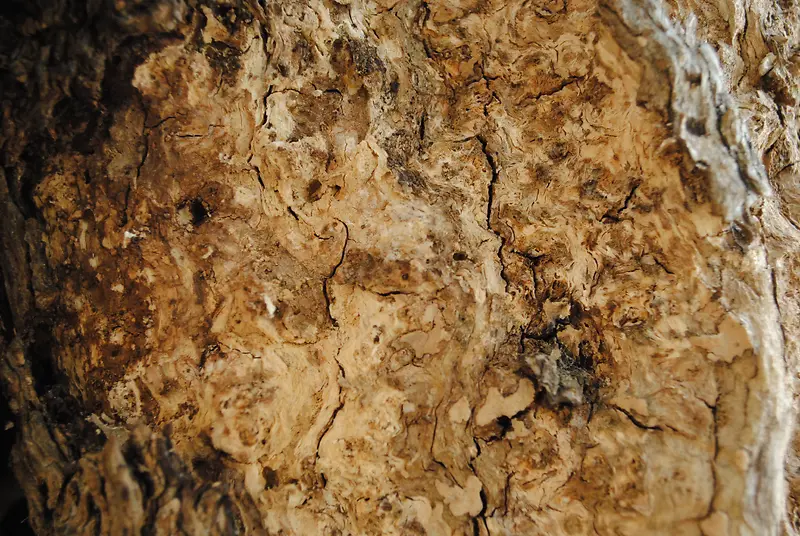 ľ�Ʊ�������-������