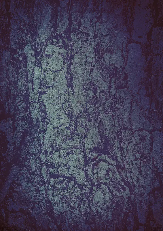 ������Ƥ����-������