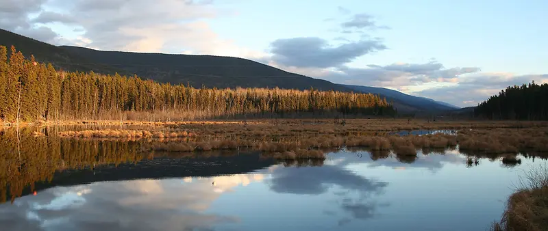 ������Ӱ��ԭ�����Ⱦ-������