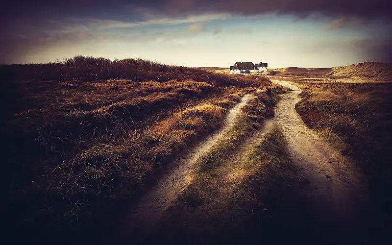 ������ȾЧ����ղ�ԭ��Ӱ-������