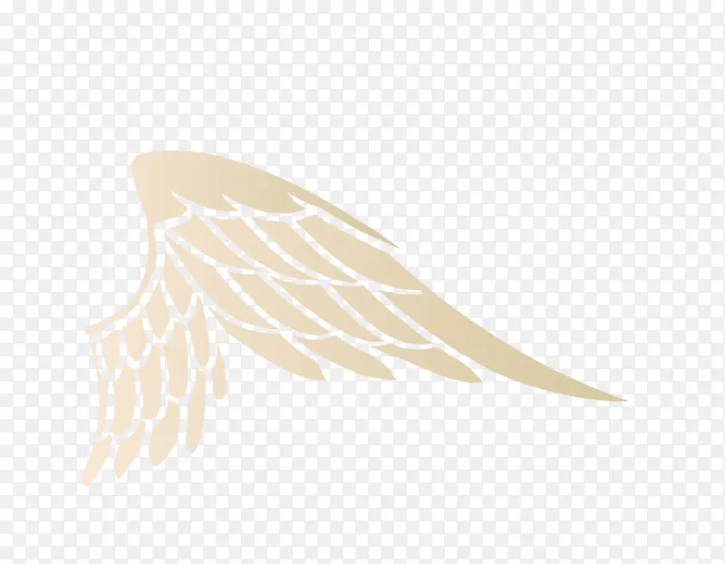 �λó��-������