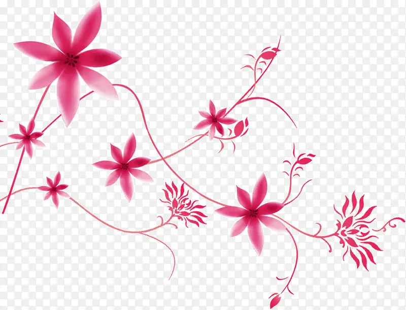 ��ʦ����֦-������