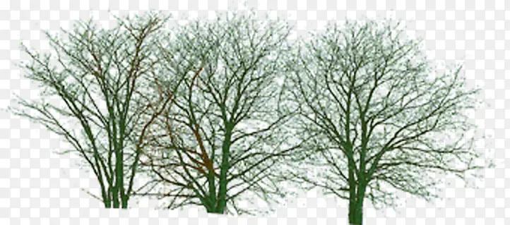 ��ľ����������Ч����ͼ-������