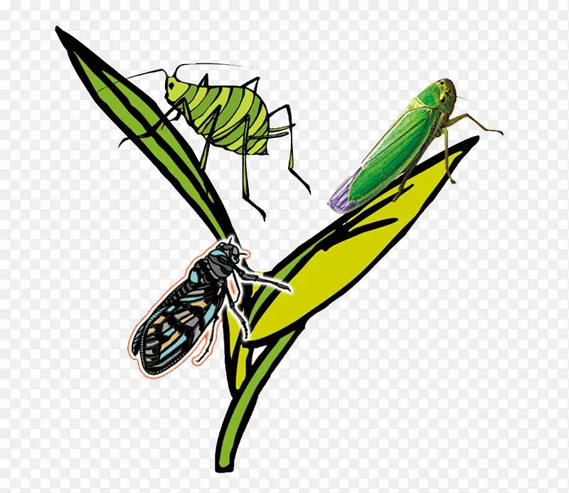 ֲ�����-������