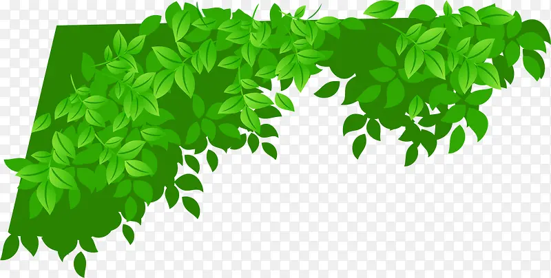 ��ɫ��Ҷ-������