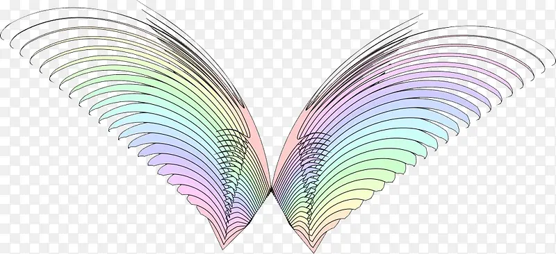 �����߲�-������