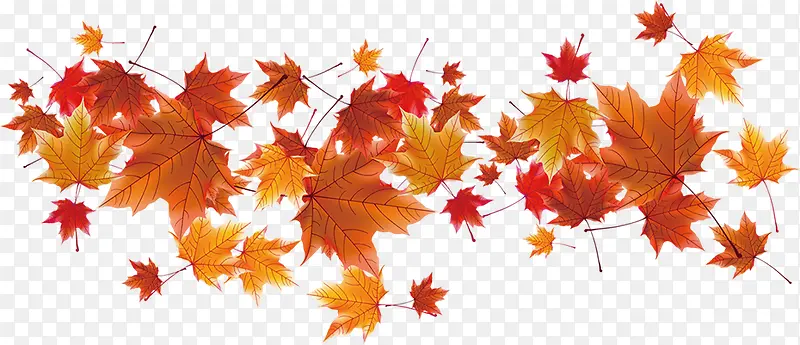 ������Ӱʵ�ķ�Ҷ-������