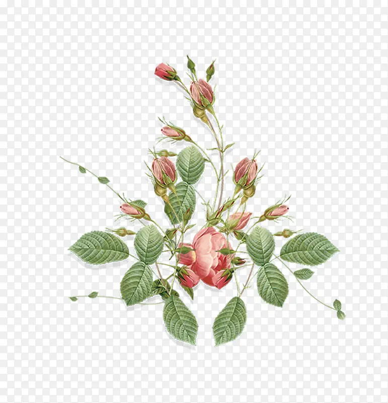 �ֻ滭����װ�����-������