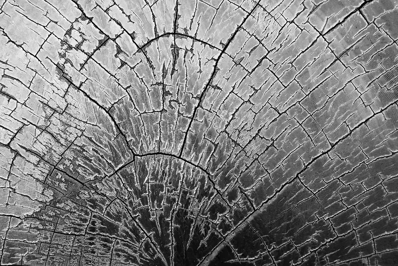 ����Ĳ�������-������