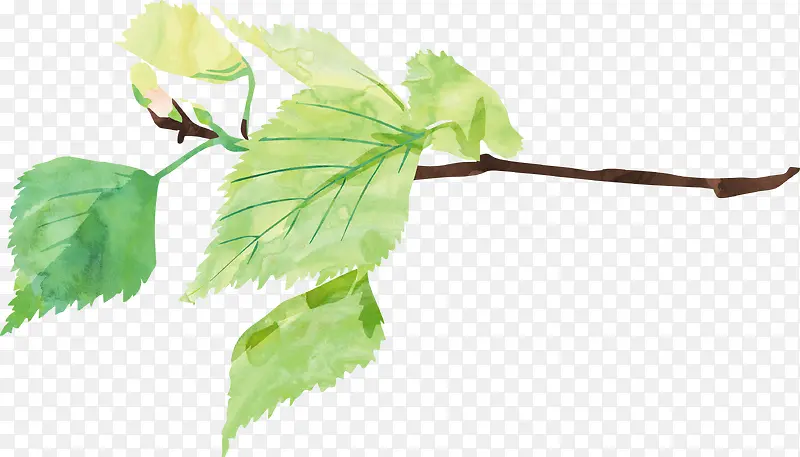 ֲ��-������