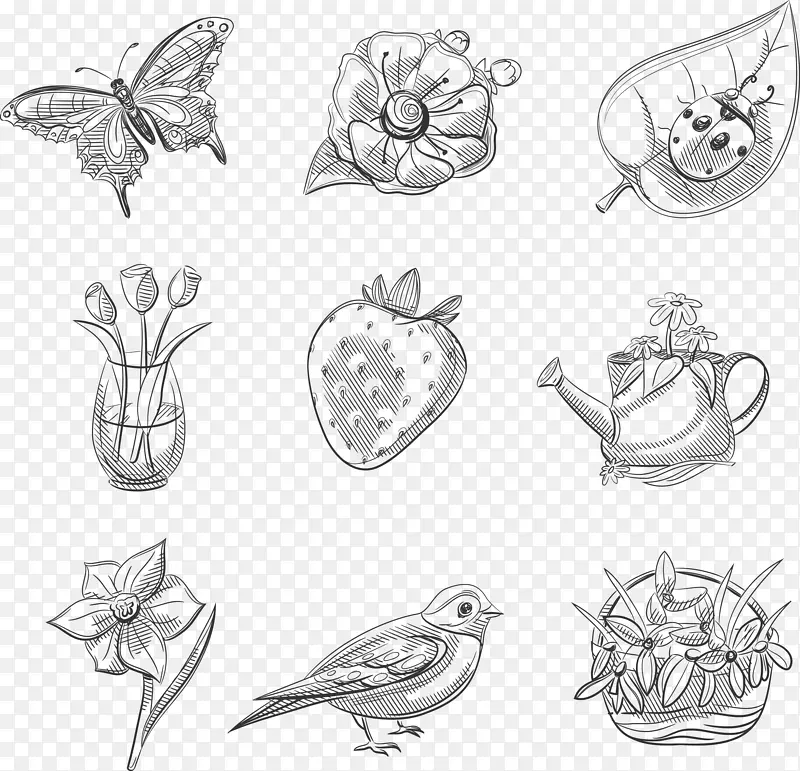 ��ֲ���-������