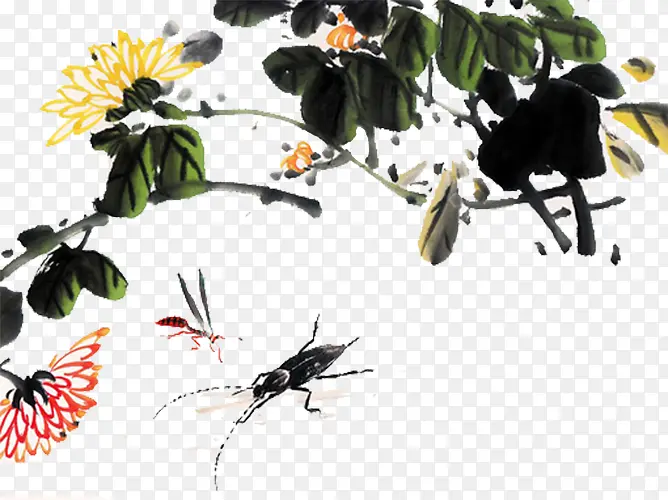 ����ֲ��-������