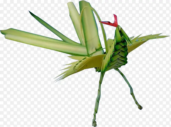 �ݱ������ز�-������